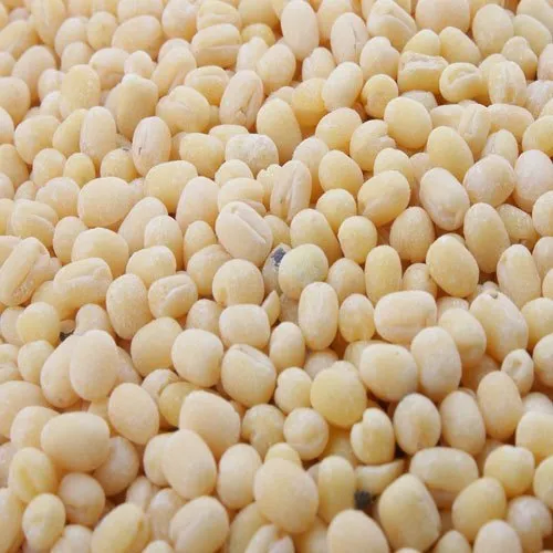 Urad Gota