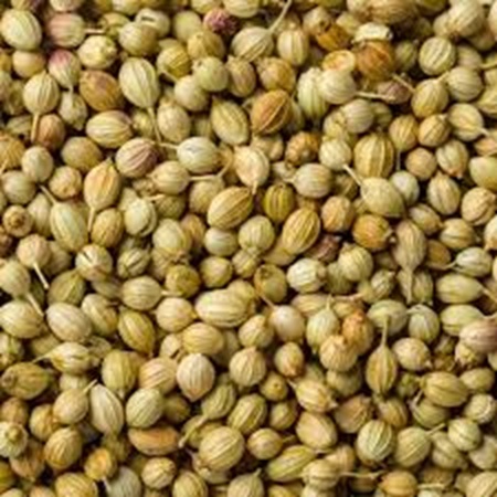 Corriander Seeds